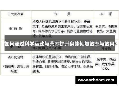 如何通过科学运动与营养提升身体恢复效率与效果