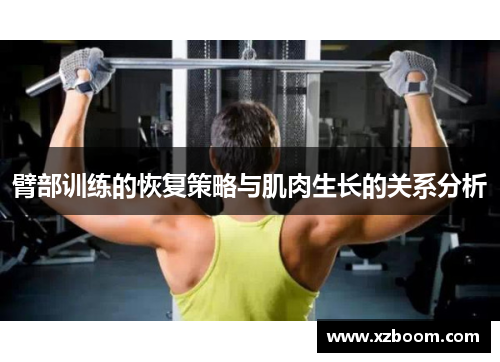 臂部训练的恢复策略与肌肉生长的关系分析